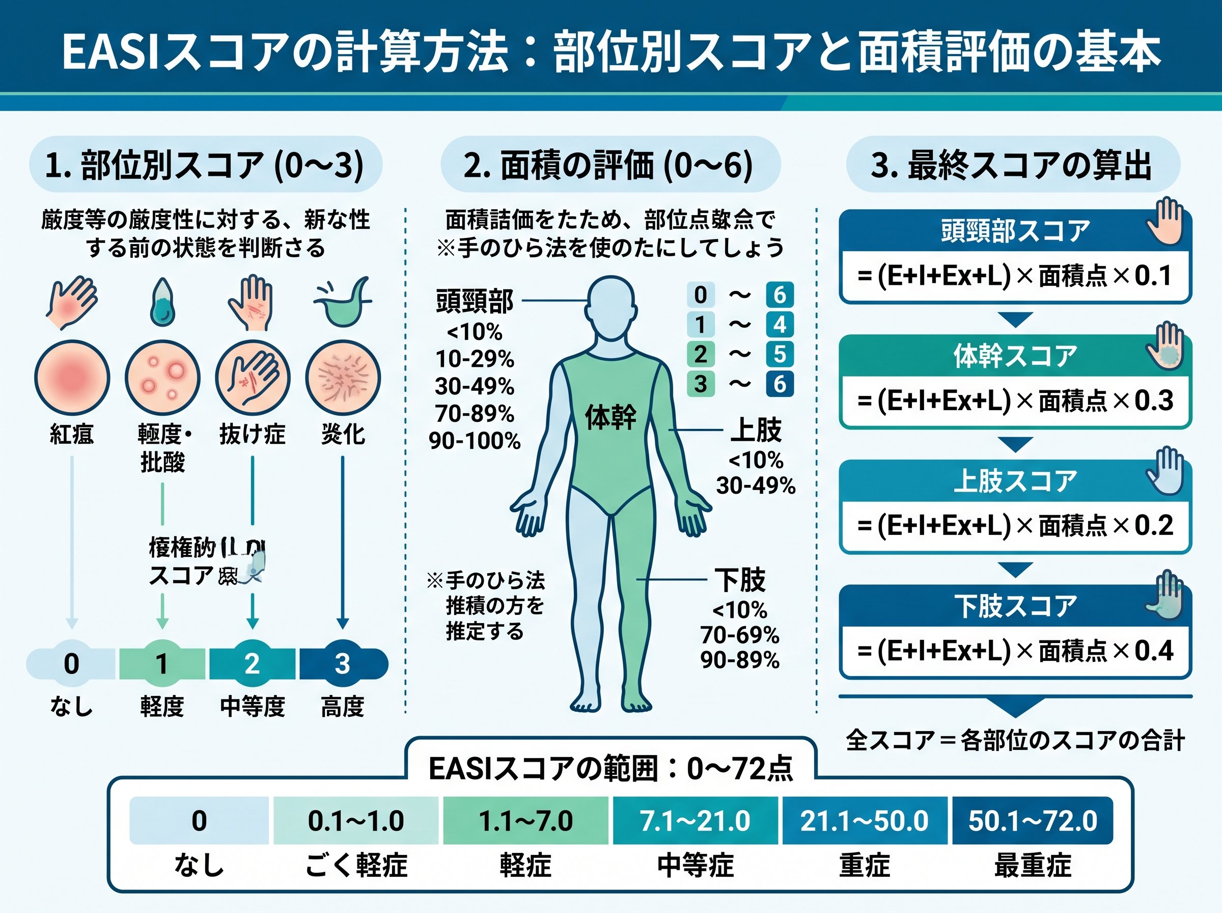 EASIスコアの計算方法:部位別スコアと面積評価の基本