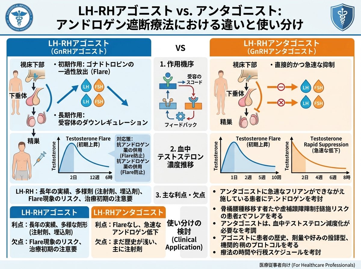 LH-RHアゴニストとアンタゴニストのアンドロゲン遮断療法における違いと使い分け