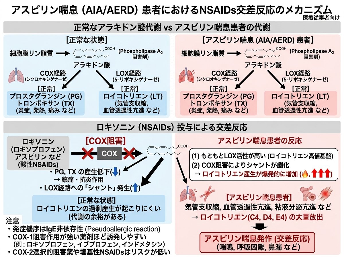 アスピリンアレルギー患者へのロキソニン投与で起こる交差反応の仕組み
