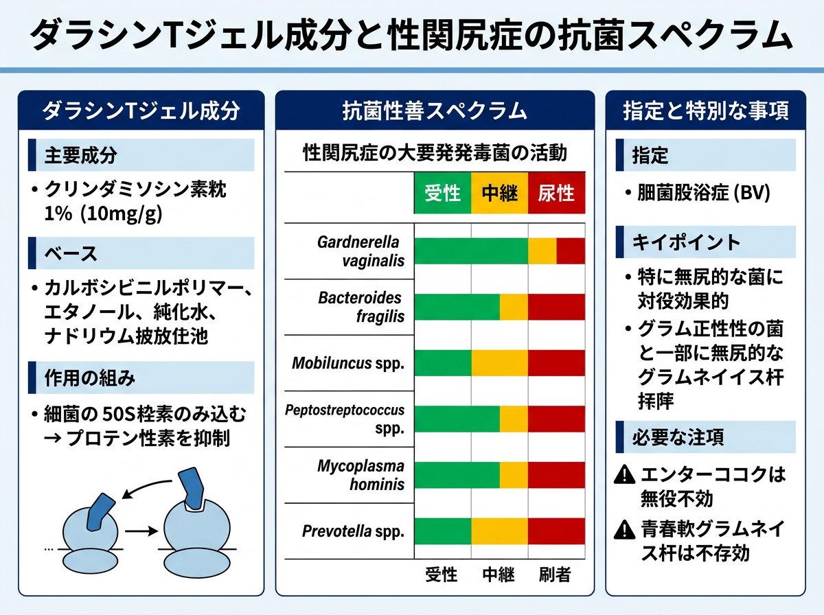ダラシンtゲルの成分と陰部炎症への抗菌スペクトル