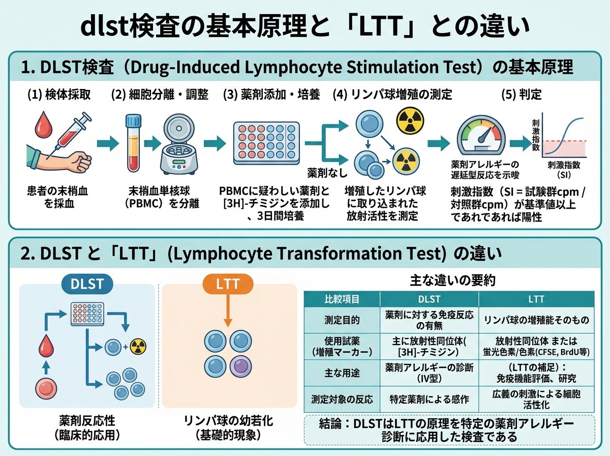 dlst検査の基本原理と「LTT」との違い