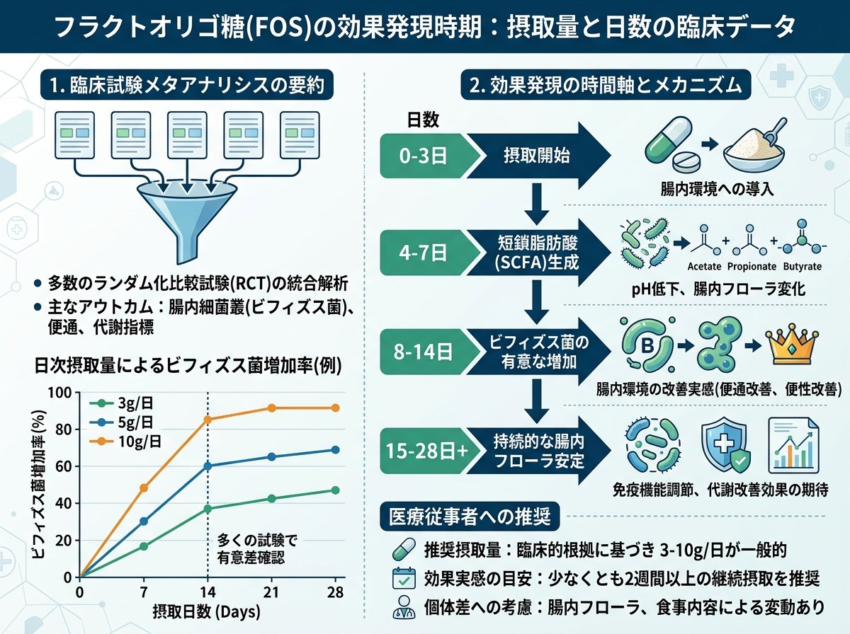 フラクトオリゴ糖の効果はいつから出る？摂取量と日数の臨床データ