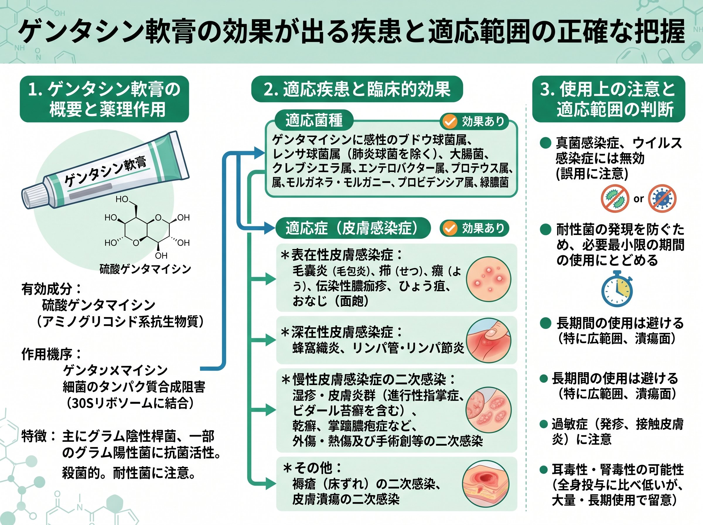 ゲンタシン軟膏の効果が出る疾患と適応範囲の正確な把握