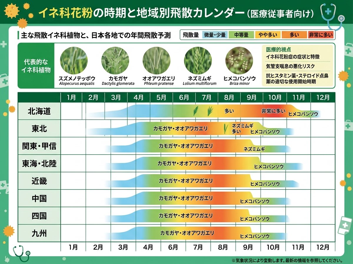 イネ科花粉の時期はいつからいつまで？地域別飛散カレンダー
