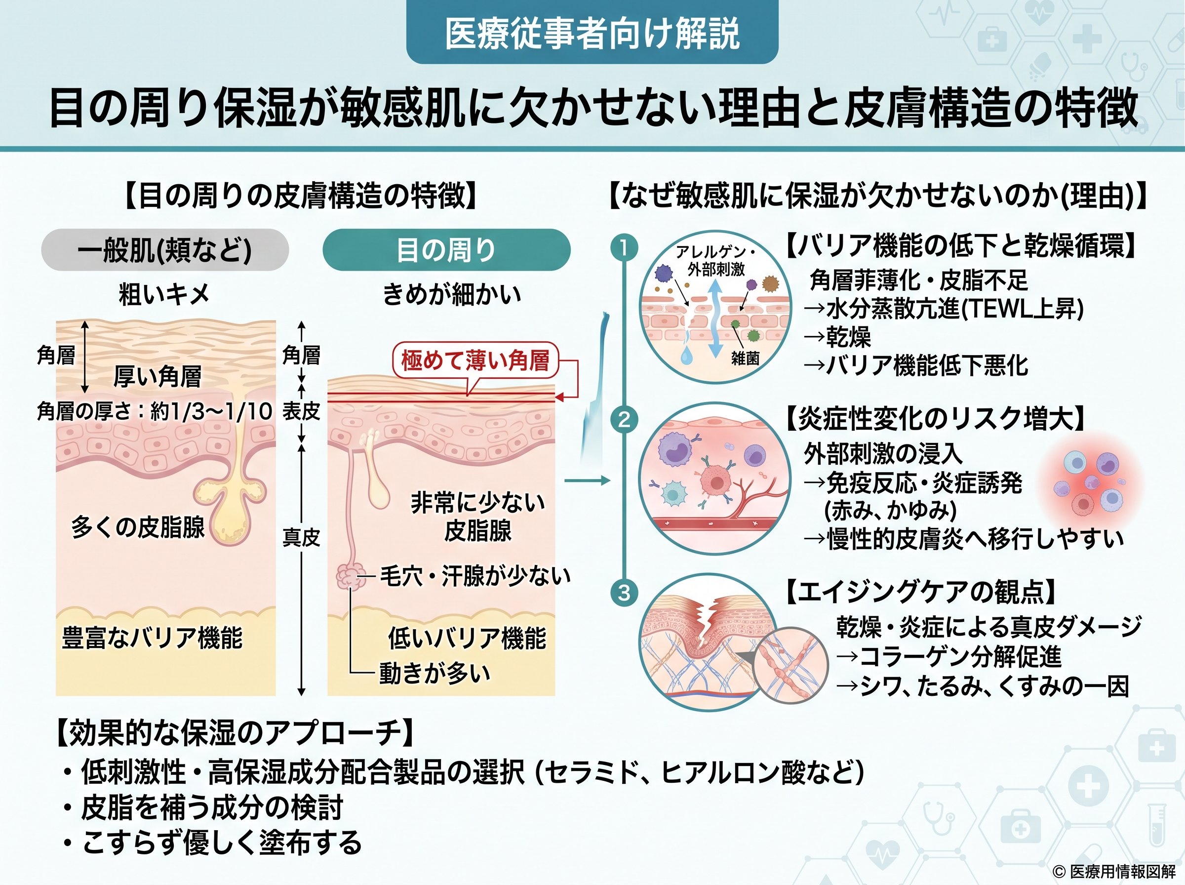 目の周り保湿が敏感肌に欠かせない理由と皮膚構造の特徴