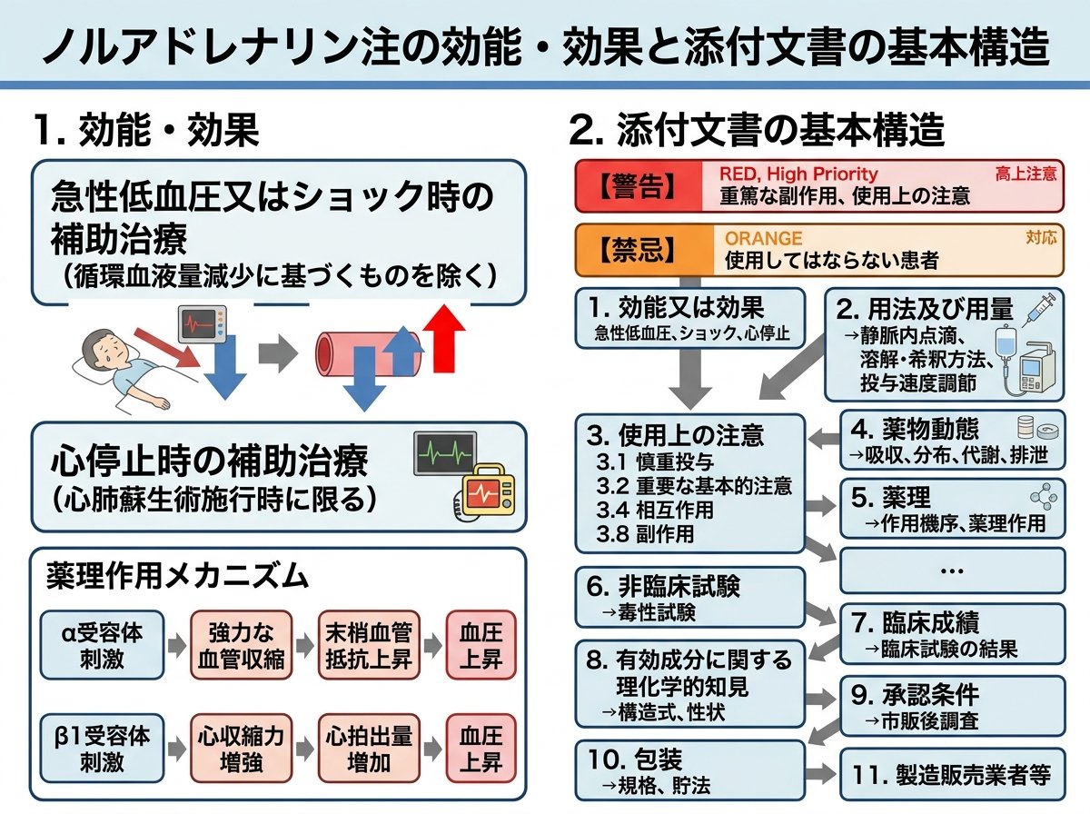 ノルアドレナリン注の効能・効果と添付文書の基本構造