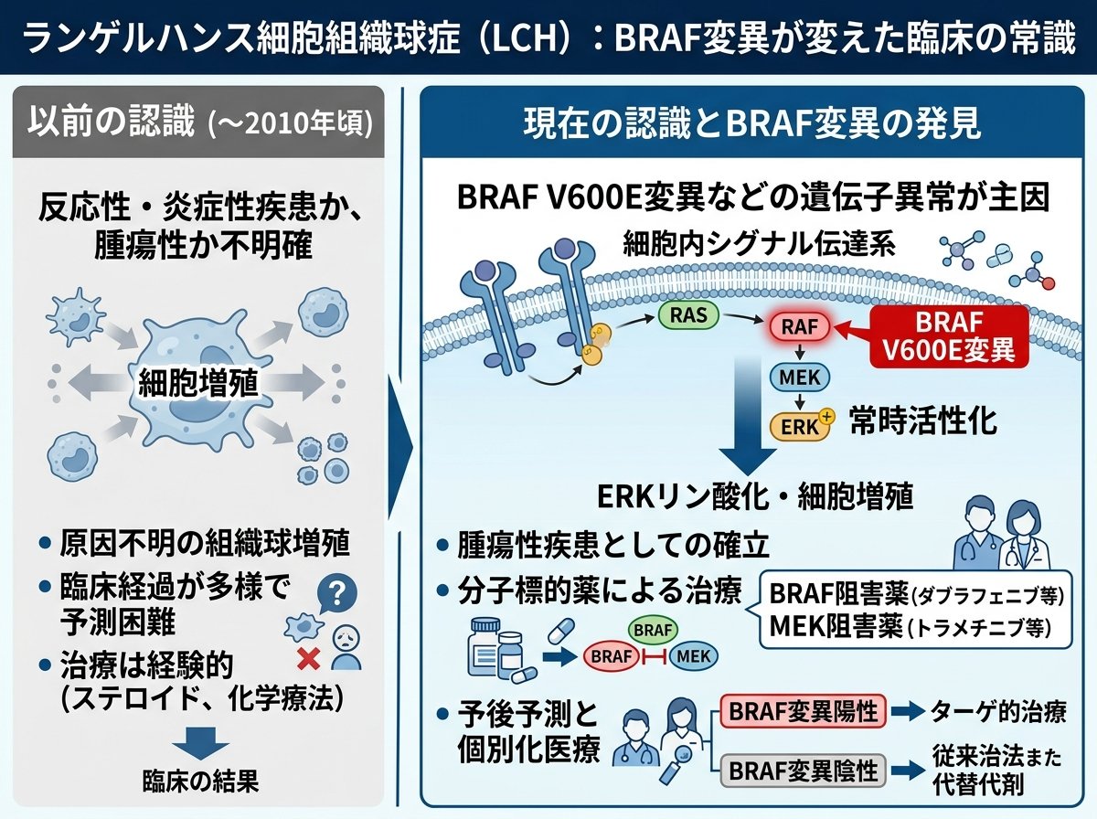 ランゲルハンス細胞組織球症(LCH):BRAF変異が変えた臨床の常識