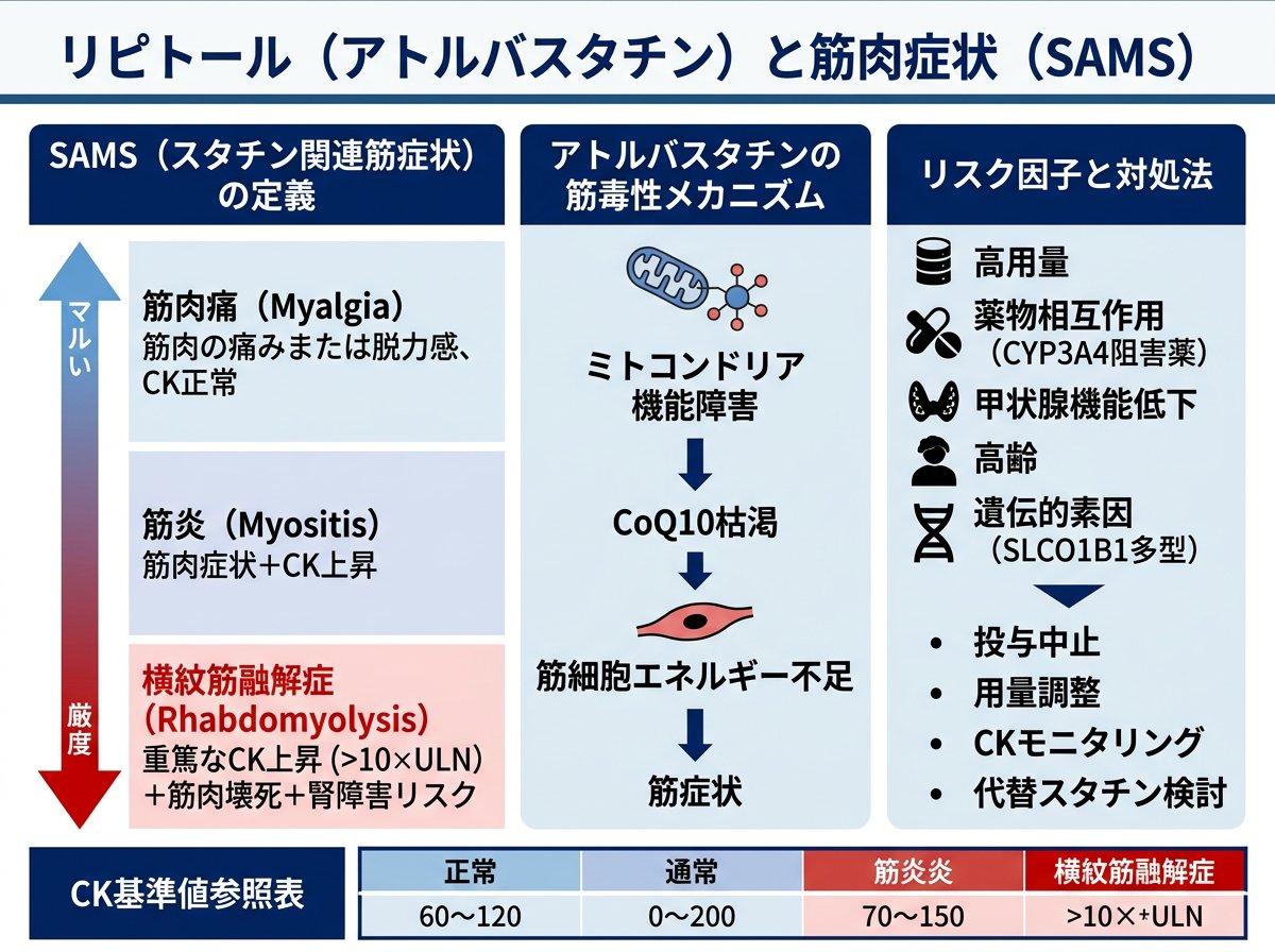 リピトール(アトルバスタチン)の筋肉痛とSAMSの定義