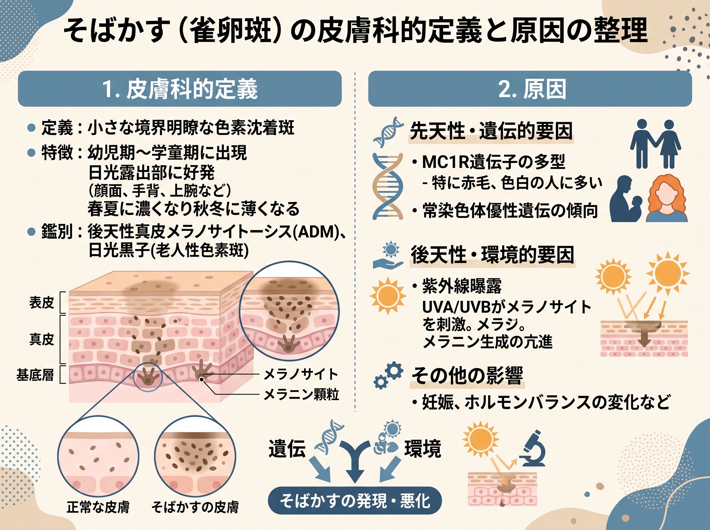 そばかす(雀卵斑)の原因と皮膚科的な定義を整理する