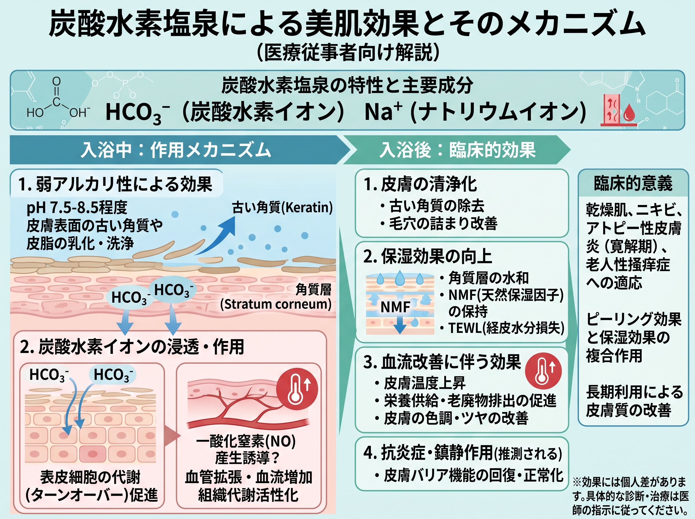 炭酸水素塩泉 東海 温泉 効果 美肌 メカニズム