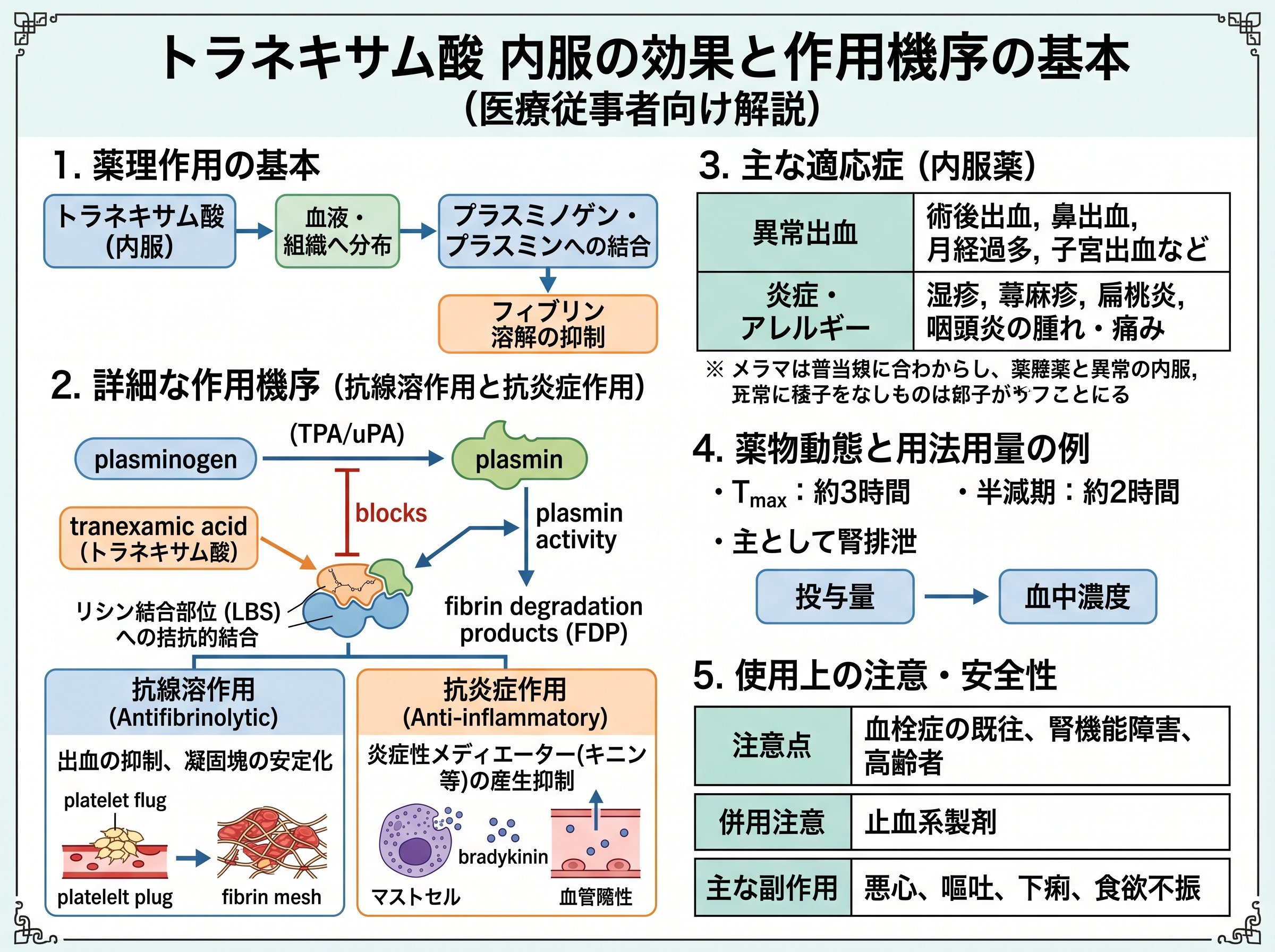 トラネキサム酸内服 効果とは 作用機序と基本