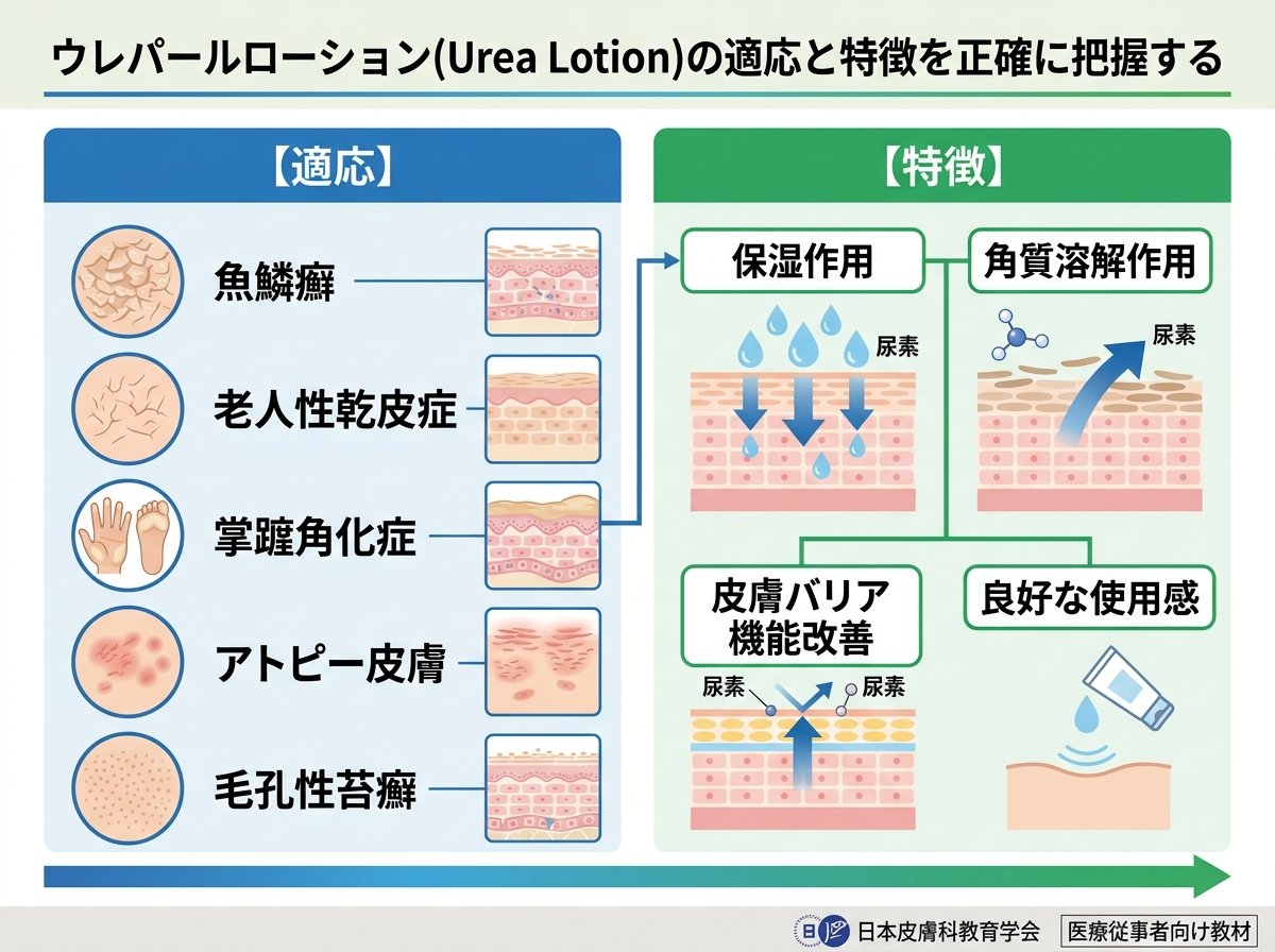 ウレパールローションの適応と特徴を正確に把握する